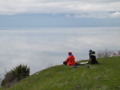 img_389_7.jpg