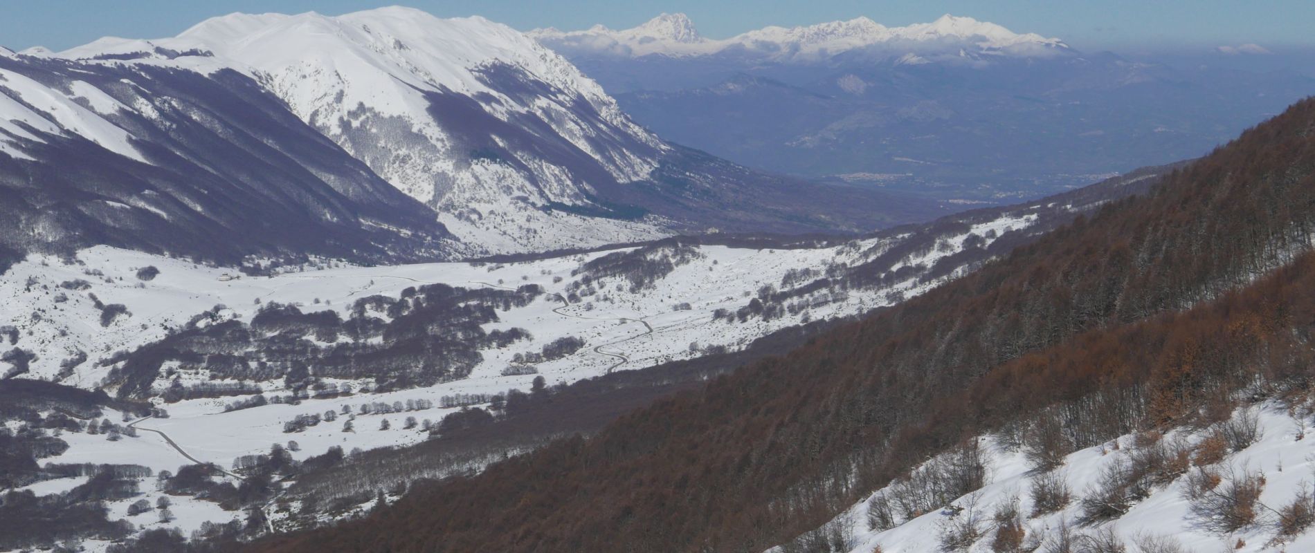 20230304-0311 ABRUZZEN AAVI (10).JPG