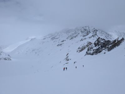 PXL_20260401_111029404.jpg
