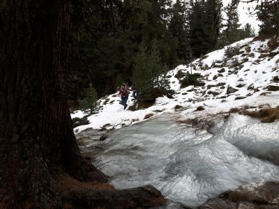 img_207_6.jpg