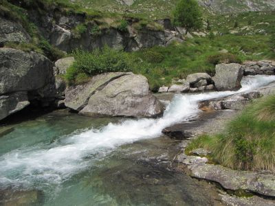 img_226_9.jpg