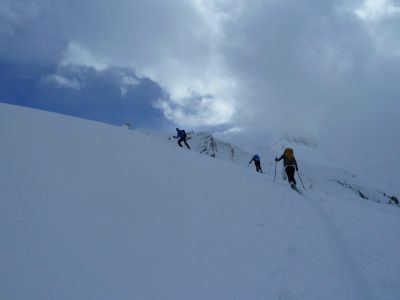 img_423_1.jpg