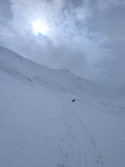 PXL_20260401_080553714.jpg