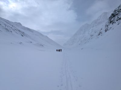 PXL_20260401_081533775.jpg