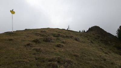 img_231_8.jpg