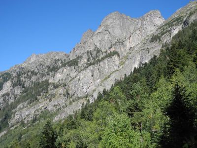 img_378_5.jpg
