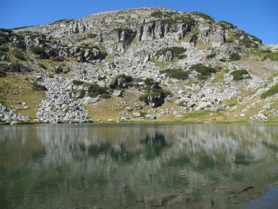 img_378_6.jpg