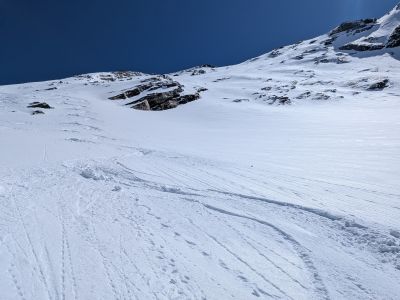 PXL_20260403_104419556.jpg