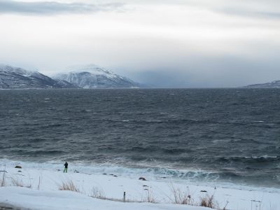 img_178_4.jpg