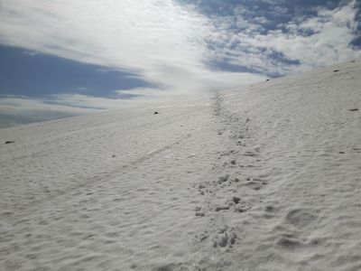 img_182_8.jpg