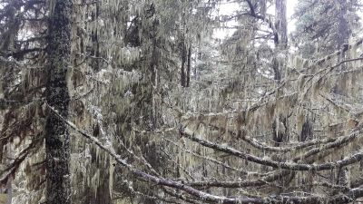 img_231_5.jpg
