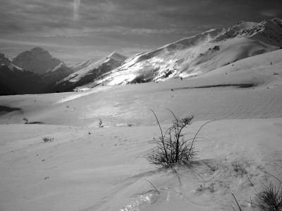 img_395_7.jpg