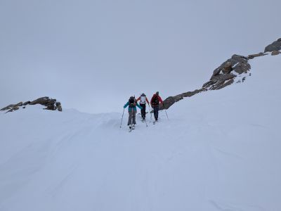 PXL_20260401_114517335.jpg