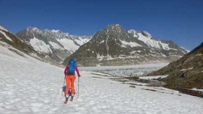 img_272_3.jpg