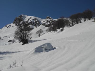 img_407_8.jpg