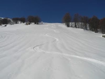 img_407_20.jpg