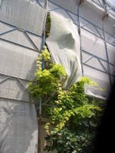 img_703_10.jpg